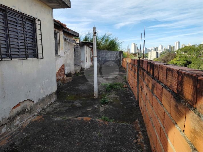 Foto REO1113501