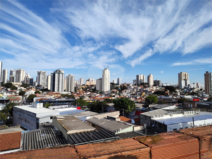 Foto REO1113501