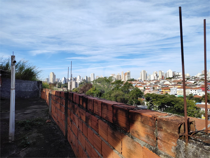 Foto REO1113501