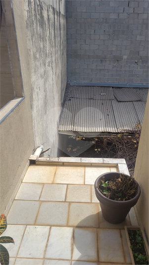 Foto REO1113512