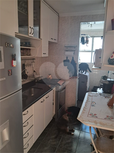 Foto REO1113515