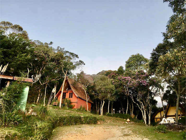 Foto REO1113520