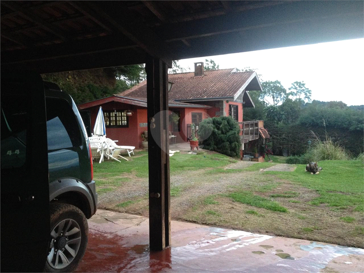 Foto REO1113520