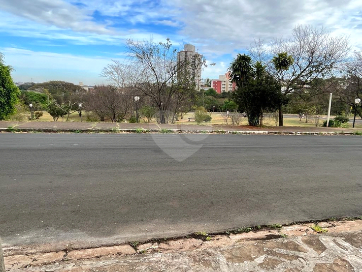 Foto REO1113522