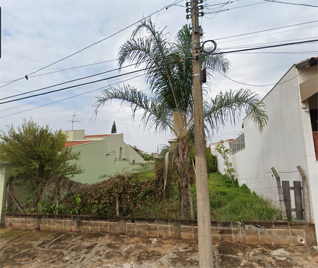 Foto REO1113522