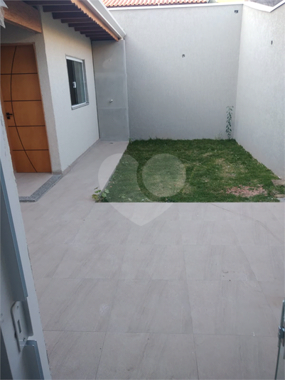 Foto REO1113526