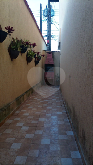 Foto REO1113530