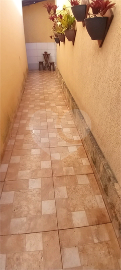 Foto REO1113530