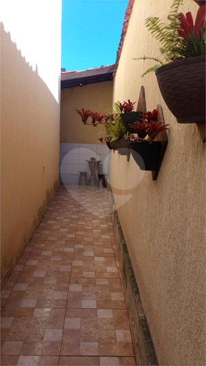 Foto REO1113530