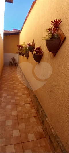 Foto REO1113530