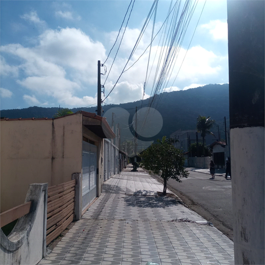 Foto REO1113530