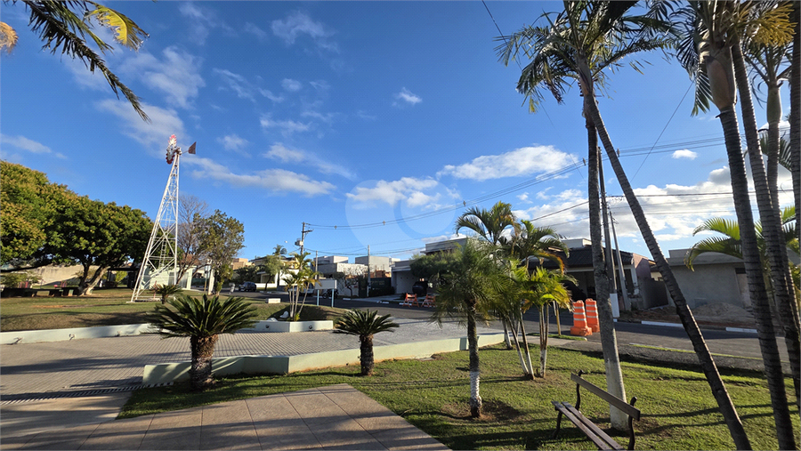 Foto REO1113532