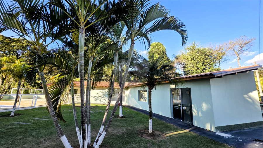 Foto REO1113532