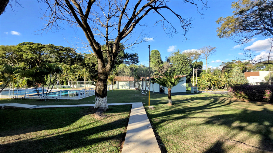 Foto REO1113532