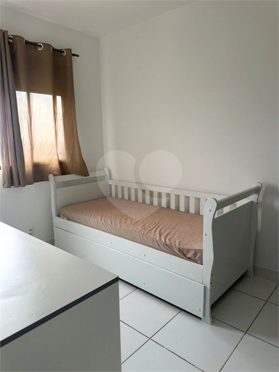 Foto REO1113533