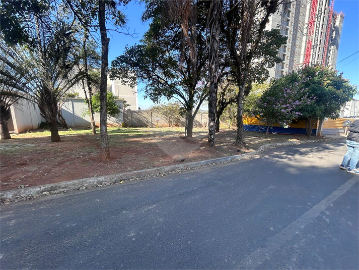 Foto REO1113544