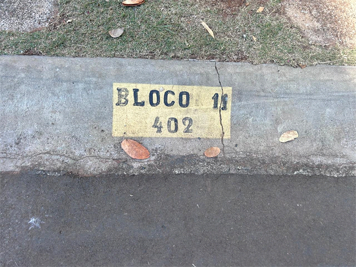 Foto REO1113544