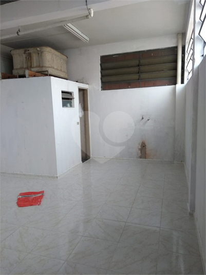 Foto REO1113546