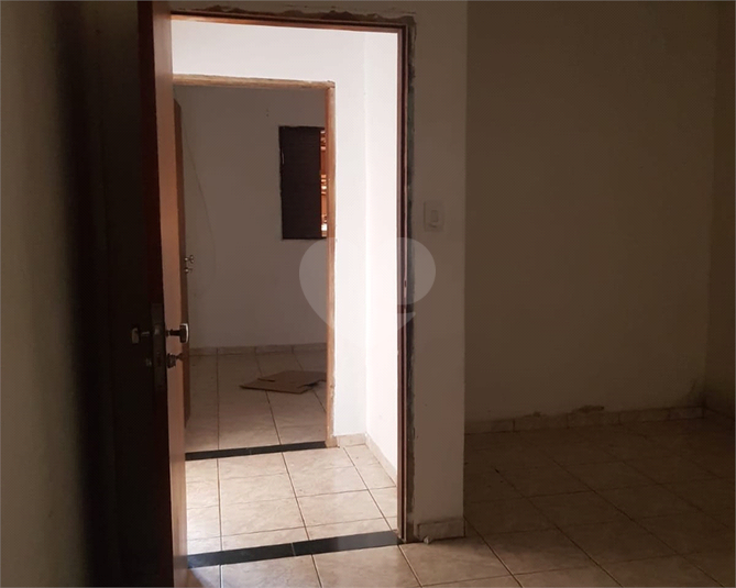 Foto REO1113552