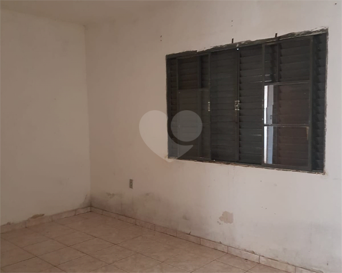 Foto REO1113552
