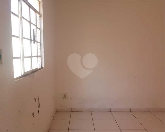Foto REO1113552
