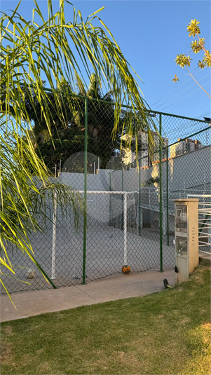 Foto REO1113557