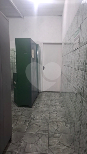 Foto REO1113560