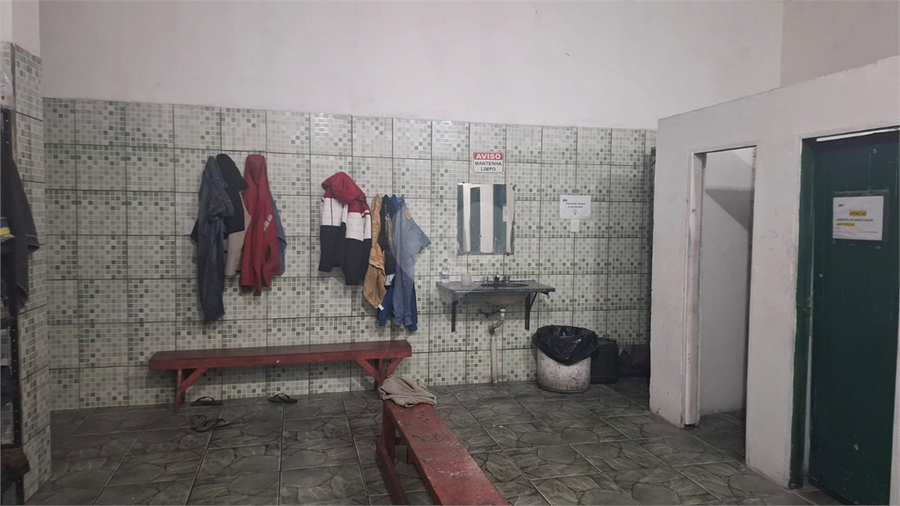 Foto REO1113560