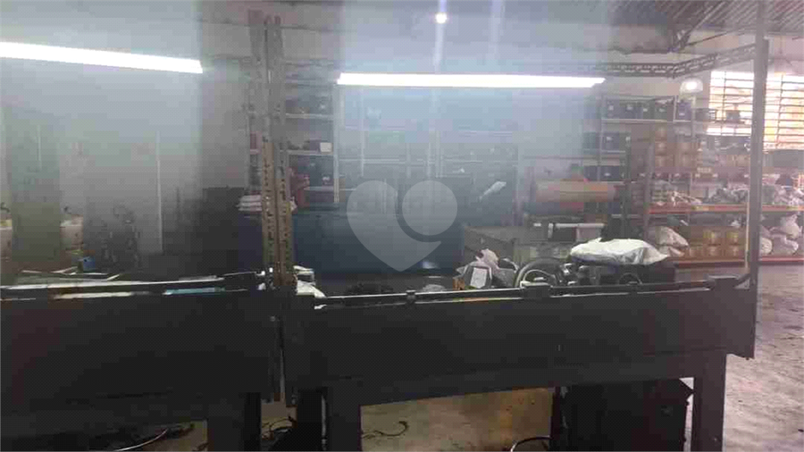 Foto REO1113560