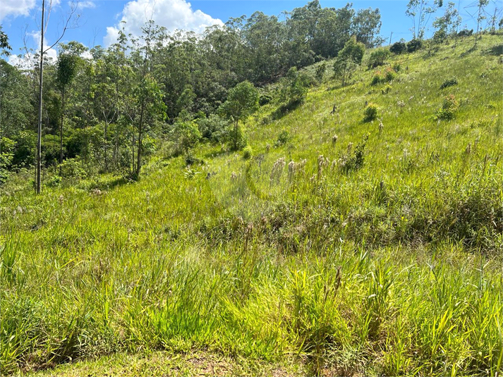 Foto REO1113565