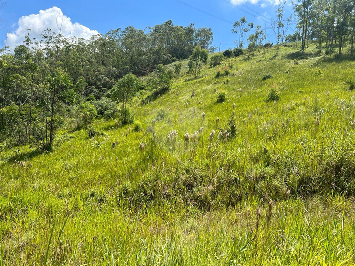 Foto REO1113565