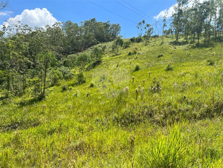 Foto REO1113565