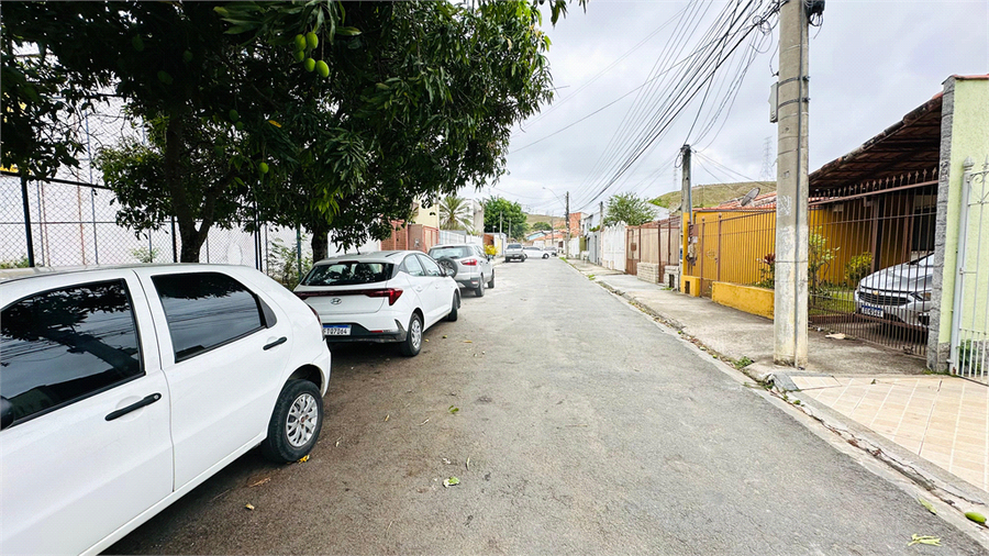 Foto REO1113566