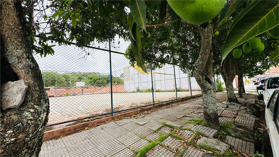 Foto REO1113566