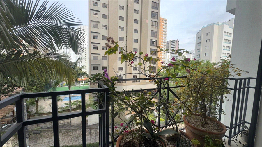 Foto REO1113573