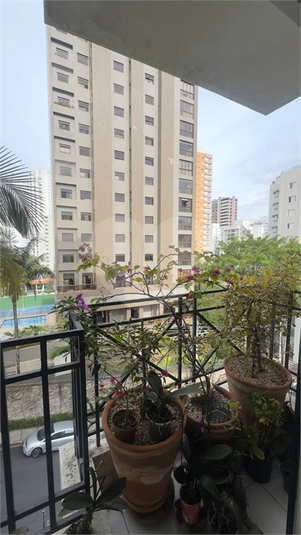 Foto REO1113573