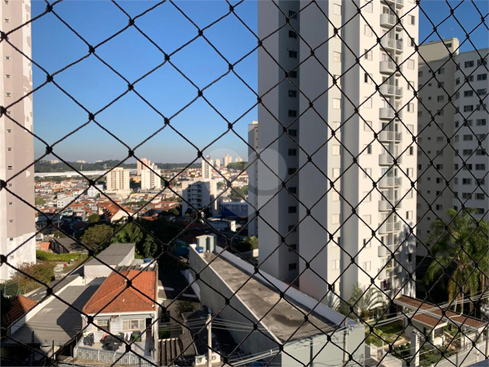 Foto REO1113580
