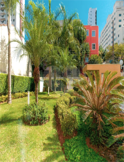 Foto REO1113590