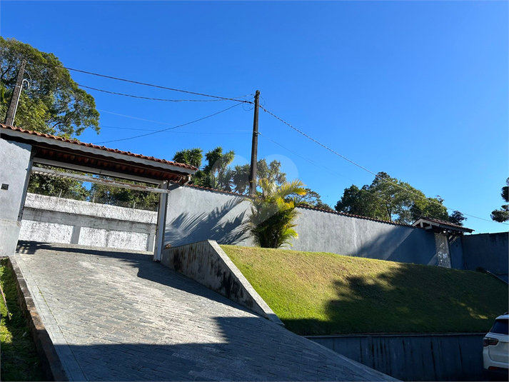 Foto REO1113616
