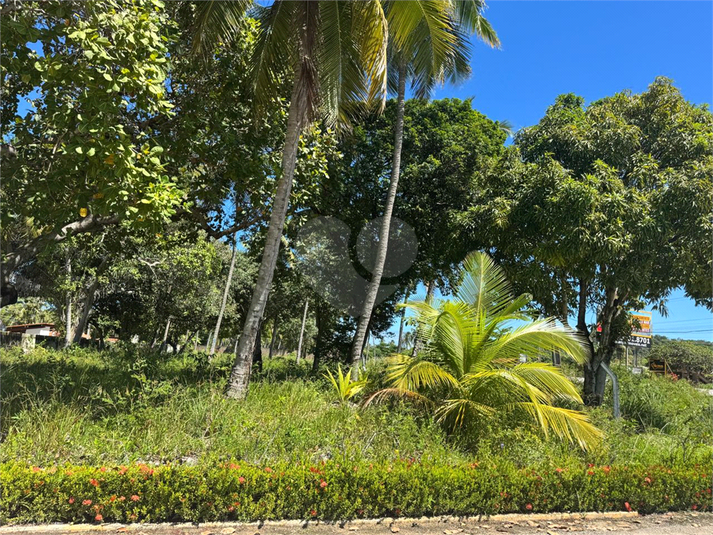 Foto REO1113621