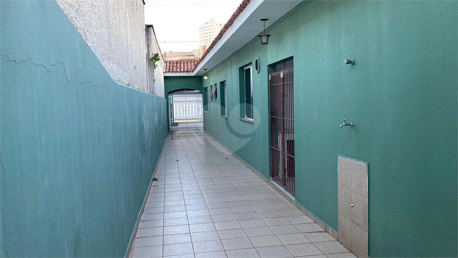 Foto REO1113634
