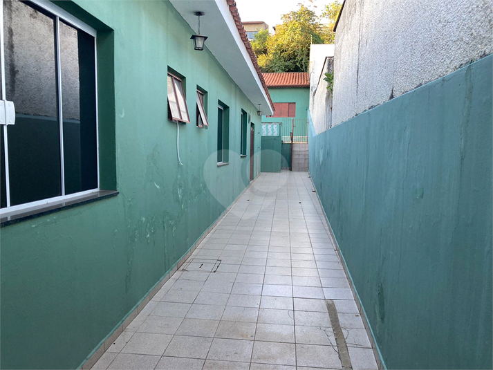 Foto REO1113634