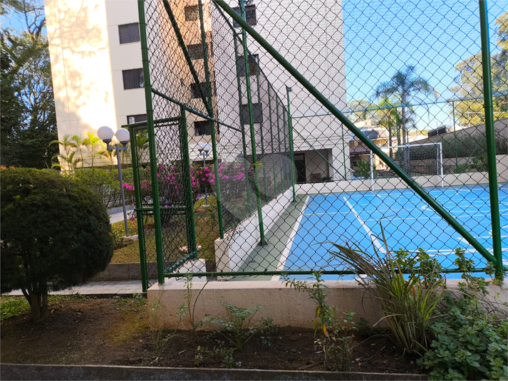 Foto REO1113635