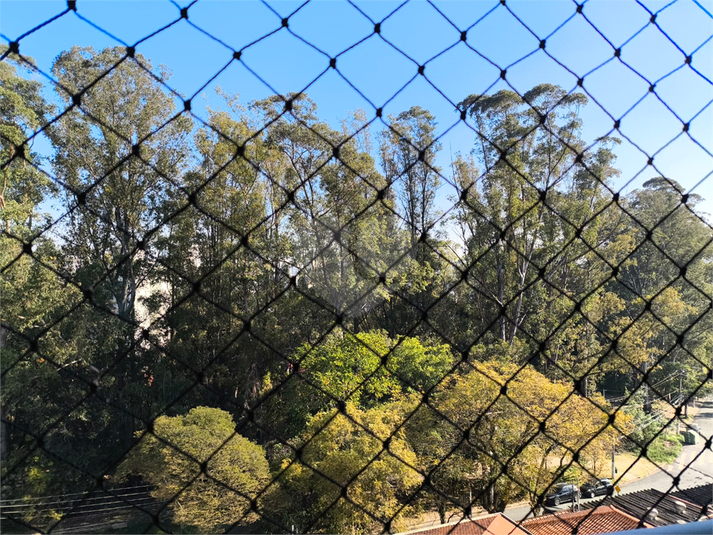Foto REO1113635