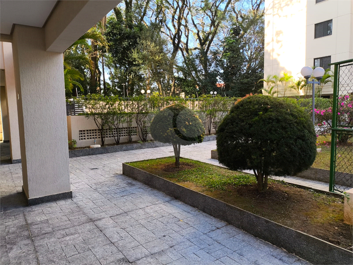 Foto REO1113635