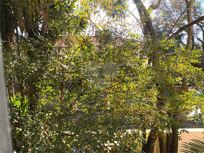Foto REO1113635