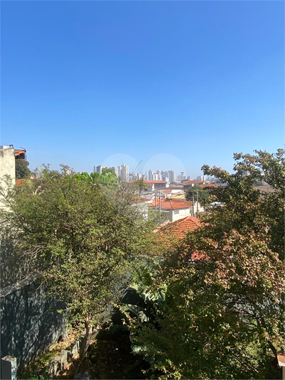 Foto REO1113645