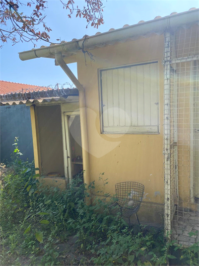 Foto REO1113645