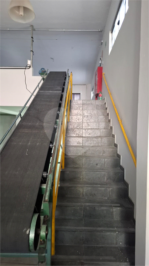 Foto REO1113647