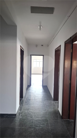 Foto REO1113647